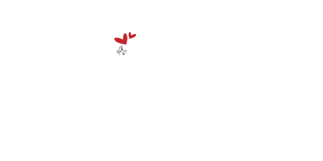 Miniput BD